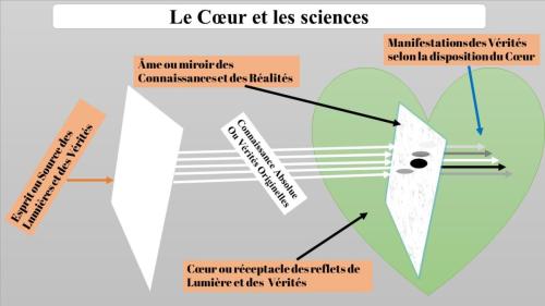 Le Cœur et les sciences