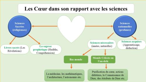 Le Cœur dans son rapport avec les-sciences