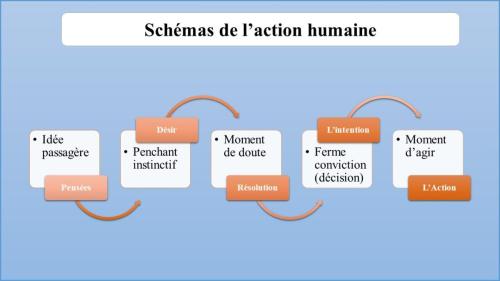Schémas de l'action humaine