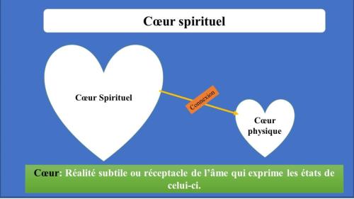 Lien entre le cœur physique et le Cœur spirituel