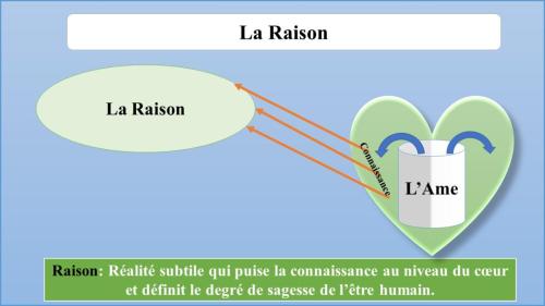 la Raison